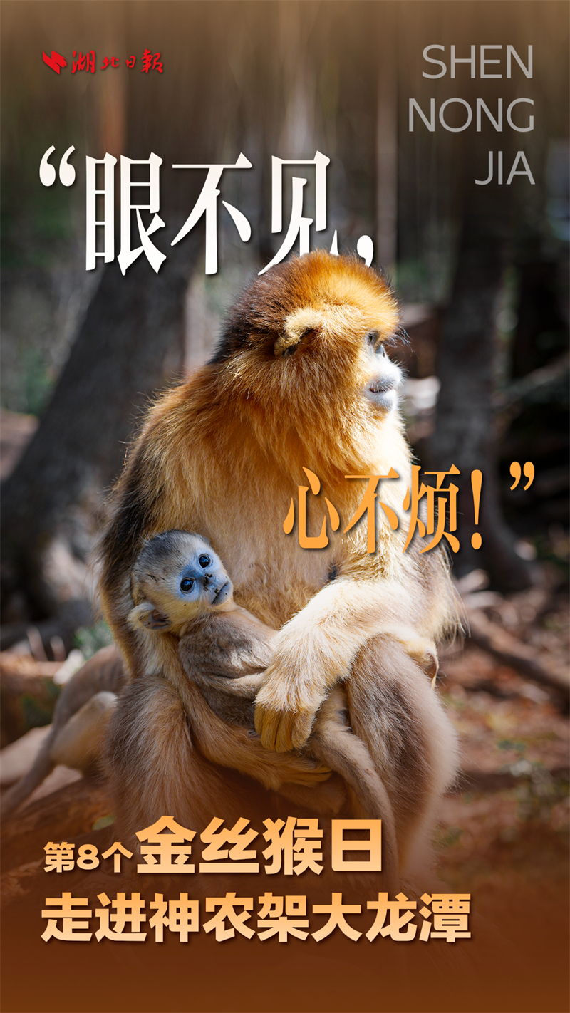 海報|大龍潭的“猴寶寶”長大啦!