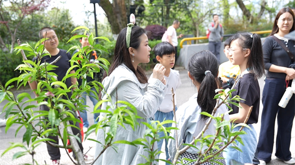 课堂搬到花树下 武汉龟山公园上演一场浪漫的自然课堂