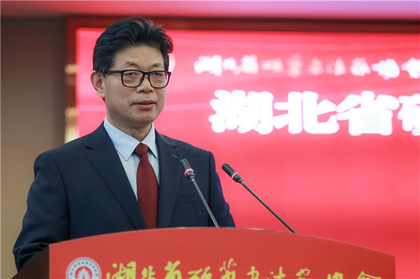 湖北省硬笔书法家协会成功换届