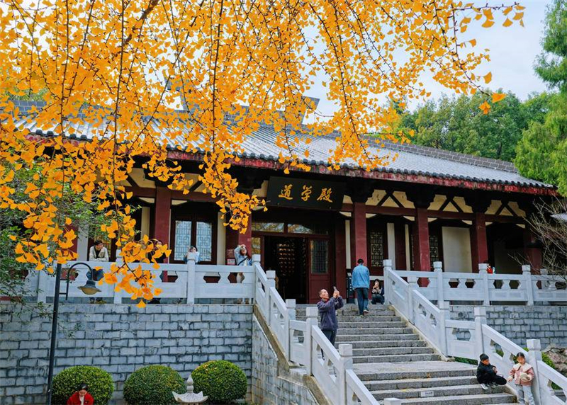 湖北荆门:“落叶缓扫”留美景