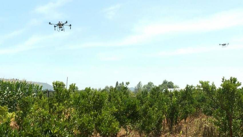 宜昌长阳:电商物流赋能产业发展 清江椪柑成为强村富民“金果果”