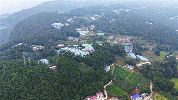 宜昌長陽:金融活水潤山鄉 “整村推進”助振興