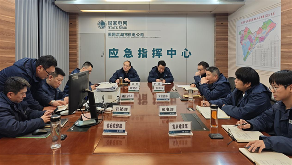 迎战雨雪冰冻天气 国网洪湖市供电公司全力守护电网安全