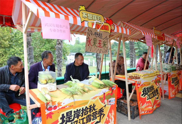 嗦粉大賽、音樂節、農品市集 武漢新溝鎮“一日微度假”扮靚秋日