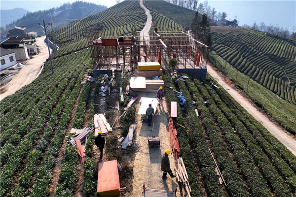 湖北保康:农旅融合绘就发展新图景