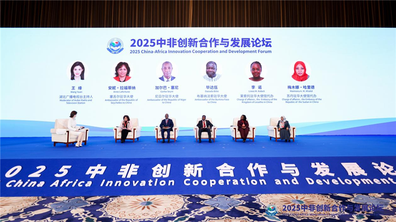 2025中非创新合作与发展论坛在武汉开幕