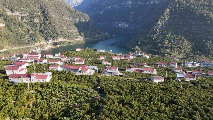 宜昌长阳:电商物流赋能产业发展 清江椪柑成为强村富民“金果果”