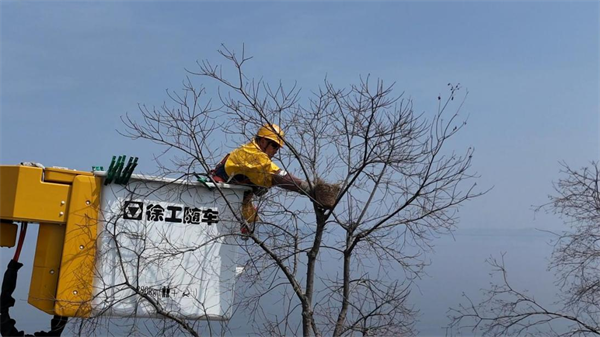 湖北武穴:守护湿地生态 护航绿色发展