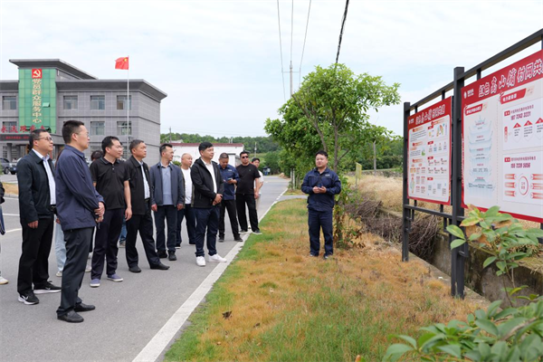 国网黄冈供电公司开展“转动一片绿·电亮一座城”品牌体验活动