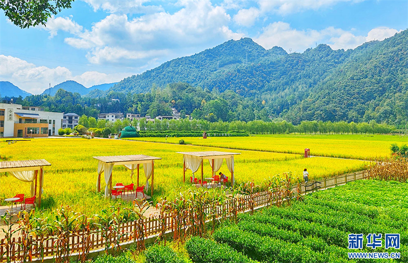 湖北恩施:秋日乡村好“丰”景