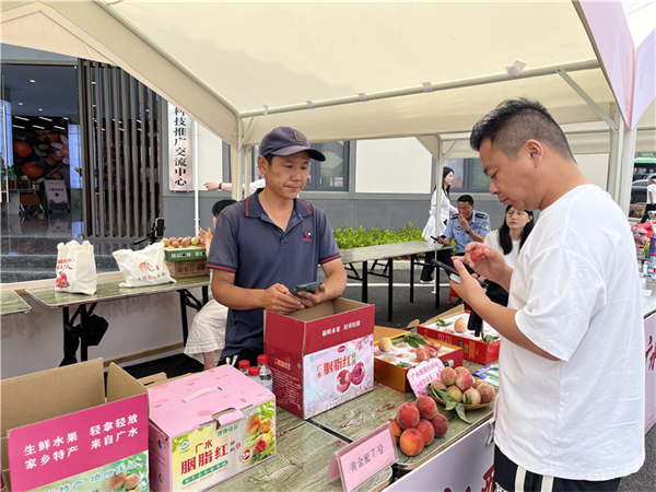 每颗桃都有身份证!湖北广水胭脂红桃品牌强势出圈