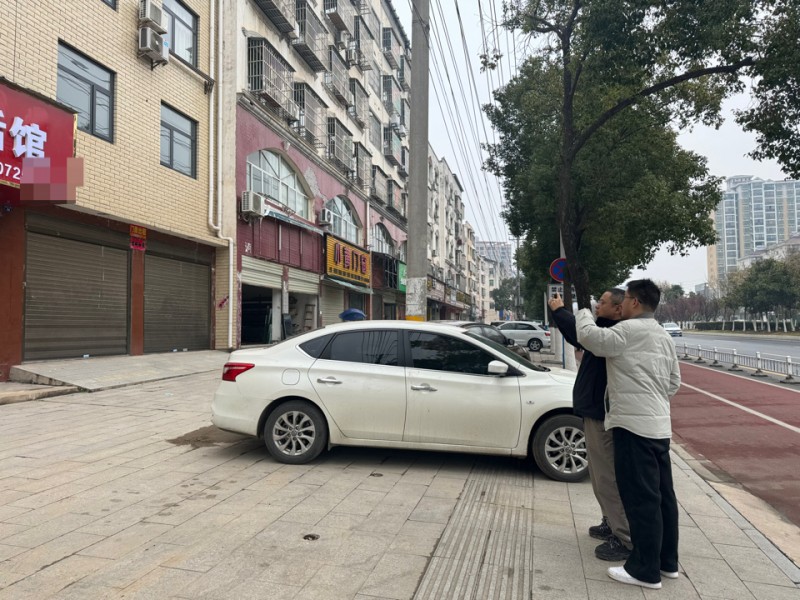 湖北安陆:青春执笔,绘就基层治理数字化转型“新蓝图”