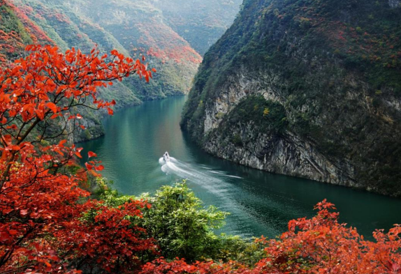 图片默认标题 null