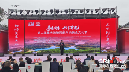 第二届重庆涪陵同乐羊肉美食文化节启幕