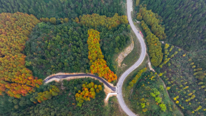 初冬时节 重庆垫江大地绘就五彩壮美画卷