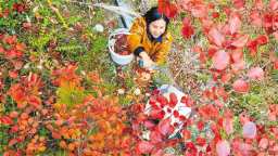 重庆巫山：精美叶雕“雕”出红火生活