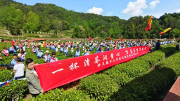 茶园书香伴成长 重庆秀山钟灵镇500余名学生开展春日研学活动