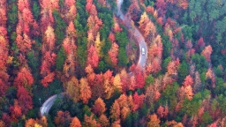定格美丽重庆：忠县漫山彩林织锦绣