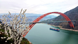 重庆：巫峡花开 春意盎然