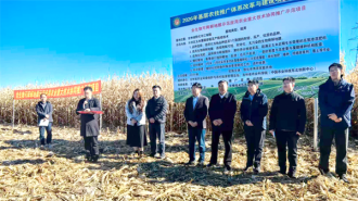 吉林省冷凉区玉米覆膜密植单产提升技术交流活动在敦化举行
