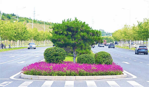 植绿绘就边城美 繁花浸润百姓家——“绿美延吉”行动侧记