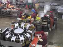 延边金刚山食品股份有限公司：匠心焕代酿新味 升级赋能产业兴