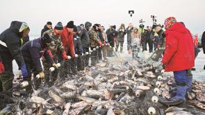 吉林查干湖冬捕出现“红网”