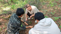 图们市聚力野生动保 守住生态安全