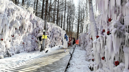 吉林安图长白山大关东文化园冰雪狂欢季活动正式启动