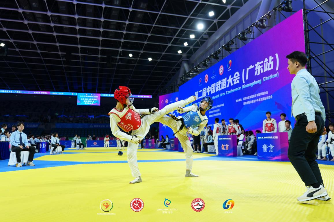 2025第二届中国武道大会(广东站)在龙华举办