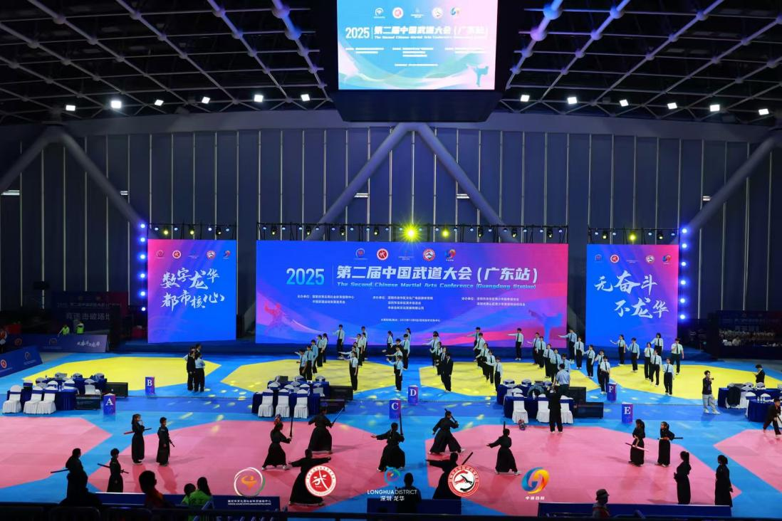 2025第二届中国武道大会(广东站)在龙华举办