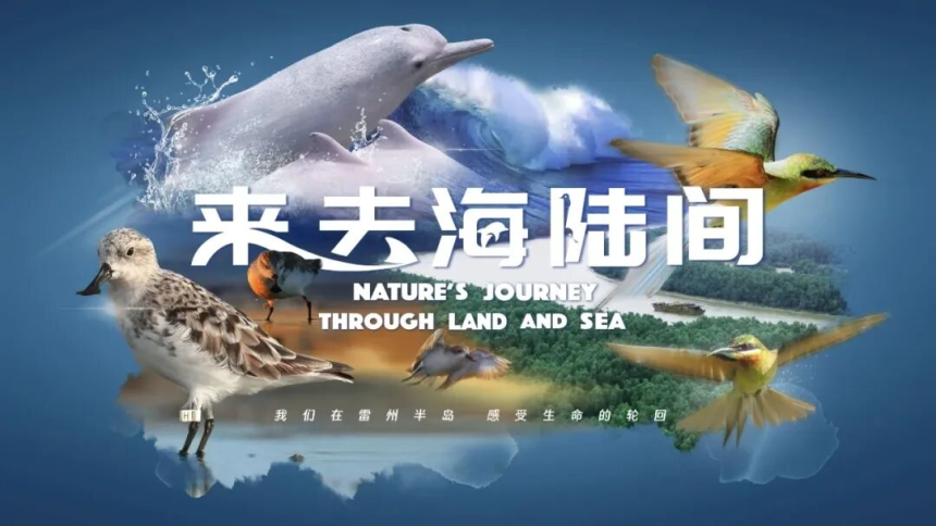 湛江纪录片《来去海陆间》 斩获国际大赛4个奖项！