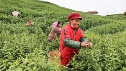 贵州惠水：万物竞发涟江畔 沃野田畴耕耘忙