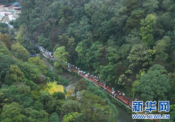 贵阳举行“绿行者”生态文明公益健行活动 null