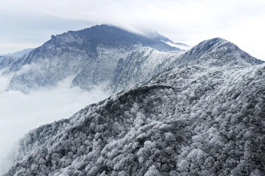 贵州铜仁:梵净山迎2026初雪 绘就冬日童话画卷