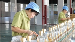贵州赤水酱香酒获得国家级“数字身份证”