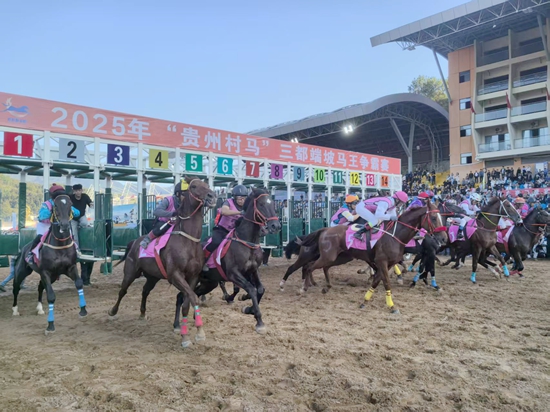 2025贵州村马第三届端节旅游季在贵州三都燃情启幕 null