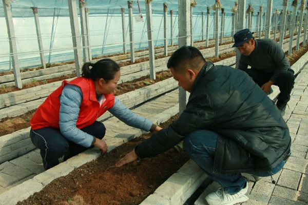 贵州省首个香荚兰设施种植基地落户贵阳市修文县程官村