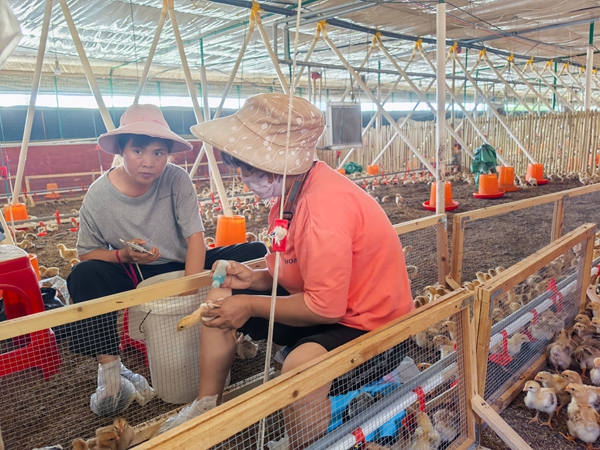 奉上“三重厚礼” 贵州清镇诚挚邀请在外奋斗的清镇籍家乡亲人回乡