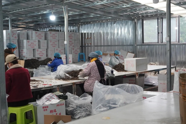 多渠道销售 贵州贵定腊香飘万里