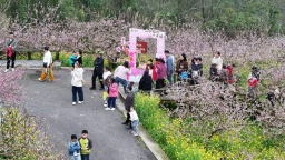 贵州镇远举办第十九届桃花诗会