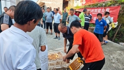 贵州施秉：小麻鸭“驮”起大产业 助力群众增收