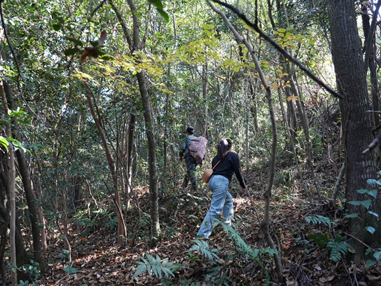 贵州镇远:蜂农李崇华在深山林间酿出“甜蜜事业”