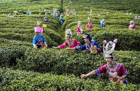 聚焦高质量 跑出加速度 贵州都匀2026年第一季度产业发展实现良好开局