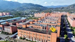 从深山制造到全球智造：正安一把吉他的科技跃迁与产业突围