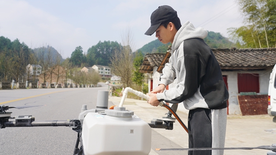 贵州镇远:2万亩油菜花迎“飞防”护航 科技绘就春日新“丰”景