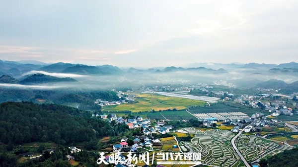 牢记初心使命 奋进复兴征程|守护红色根脉 绽放动人“花茂”