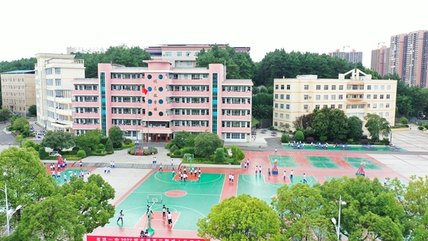 貴州岑鞏:從“一人歸鄉”到“五朵金花”逐夢 一場跨越山海的青春接力