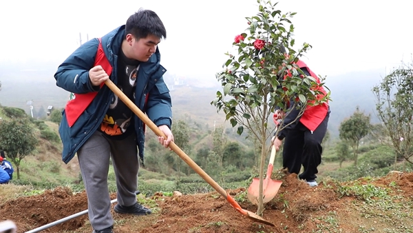 贵州丹寨开展义务植树活动 为生态建设增绿添彩