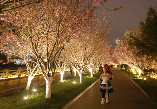 六盘水市钟山区举行第二届“yue下樱花·站谁都美”新时代文明实践活动